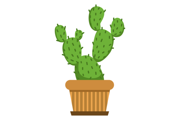 Cactus in Decorative Pot