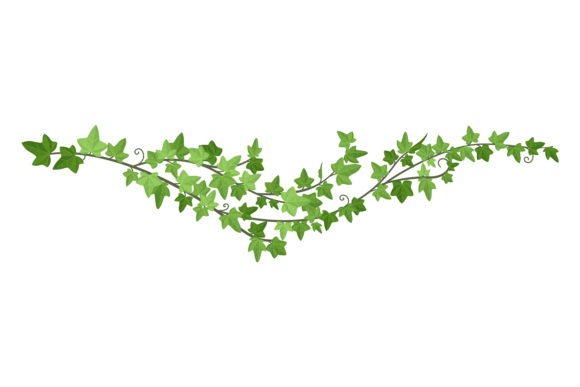 Liana Green Border Graphics: Ivy Illustrations